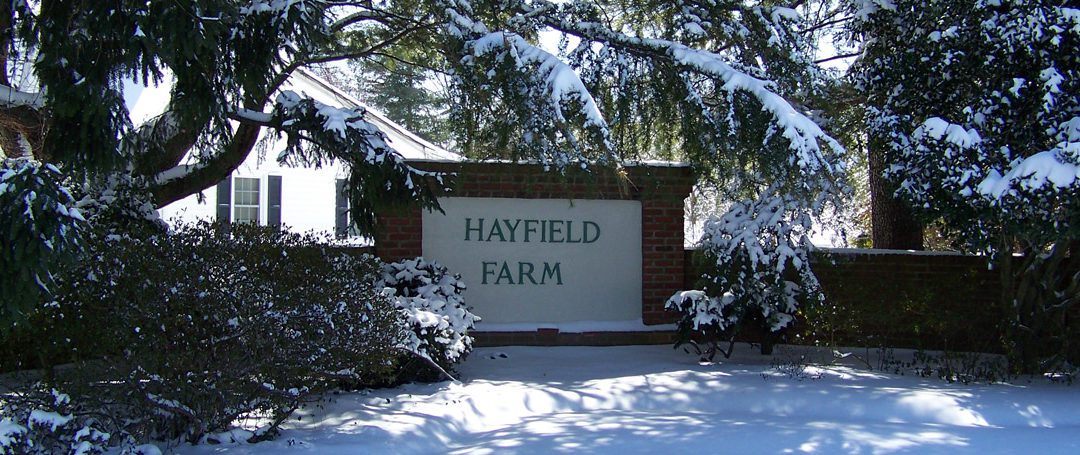 September Hayfield News