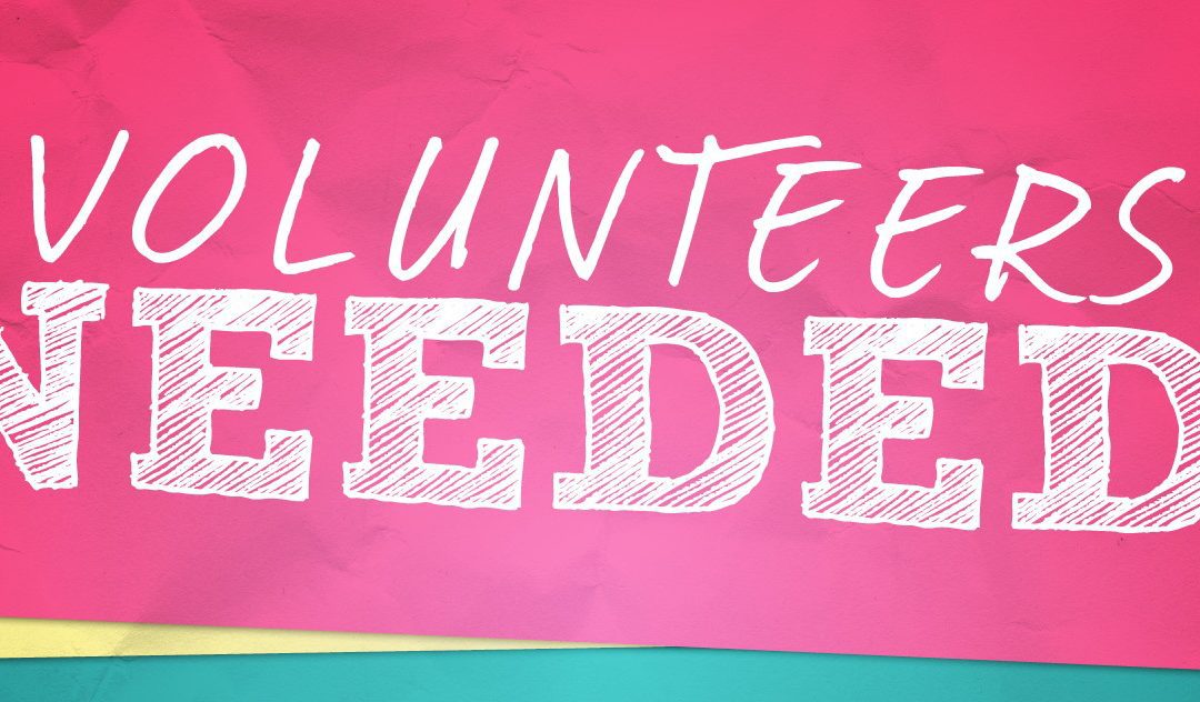 Vice President Volunteer Needed