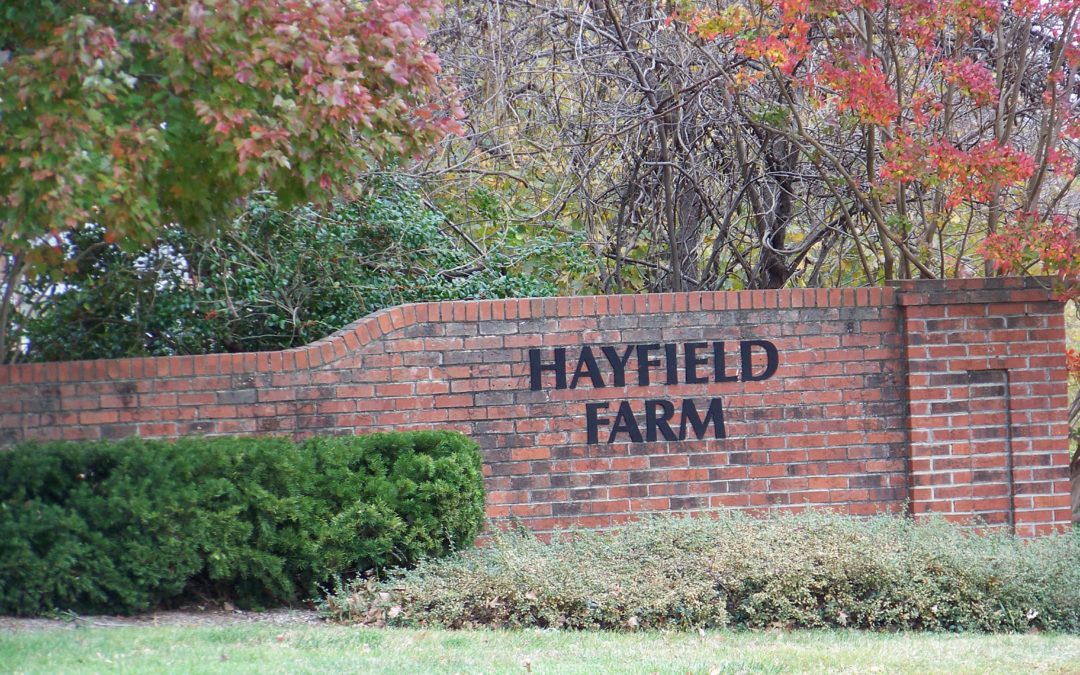 February Hayfield News 2019